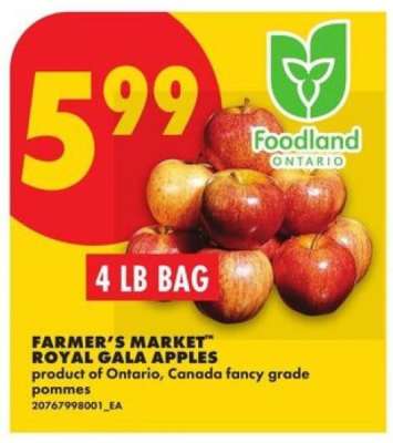 FARMER'S MARKET™ ROYAL GALA APPLES
