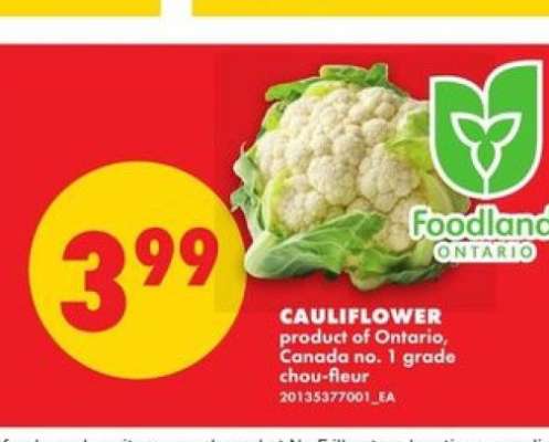 CAULIFLOWER