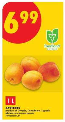 apricots