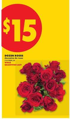 DOZEN ROSES