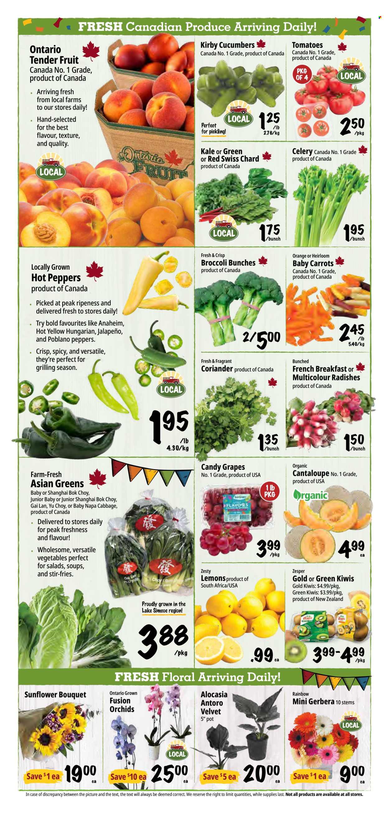 Circulaire Farm Boy - 30 Juillet 2026 - 05 Août 2026. Page 4