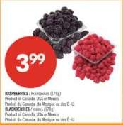 RASPBERRIES / Framboises (170g)