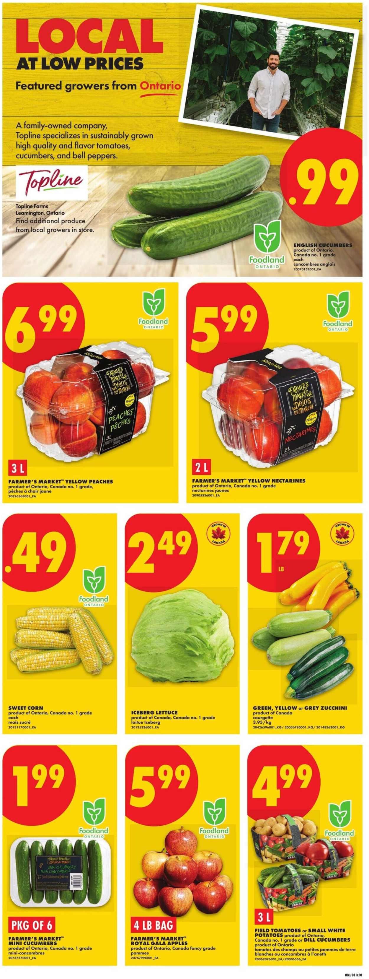 Circulaire No Frills - 06 Août 2026 - 12 Août 2026. Page 3