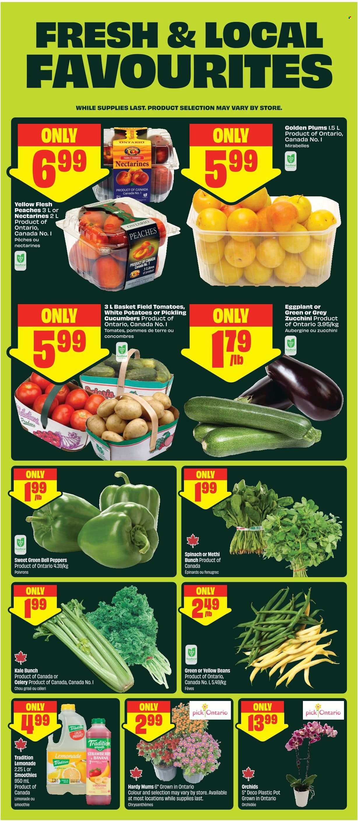 Circulaire Chalo! FreshCo. - 06 Août 2026 - 12 Août 2026. Page 5
