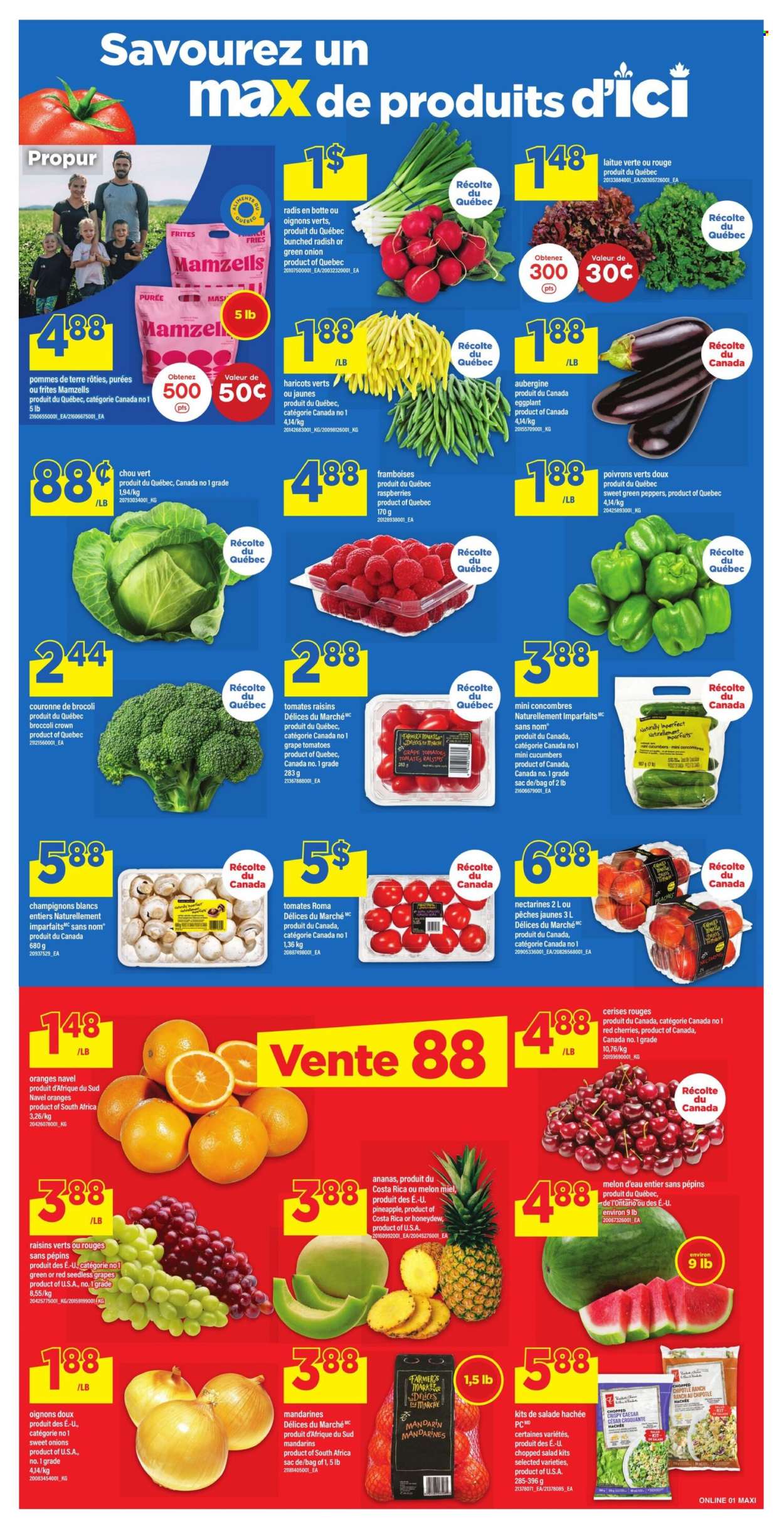 Circulaire Maxi - 13 Août 2026 - 19 Août 2026. Page 4