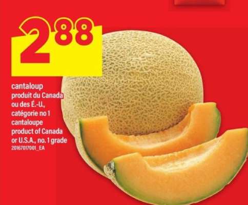 CANTALOUP