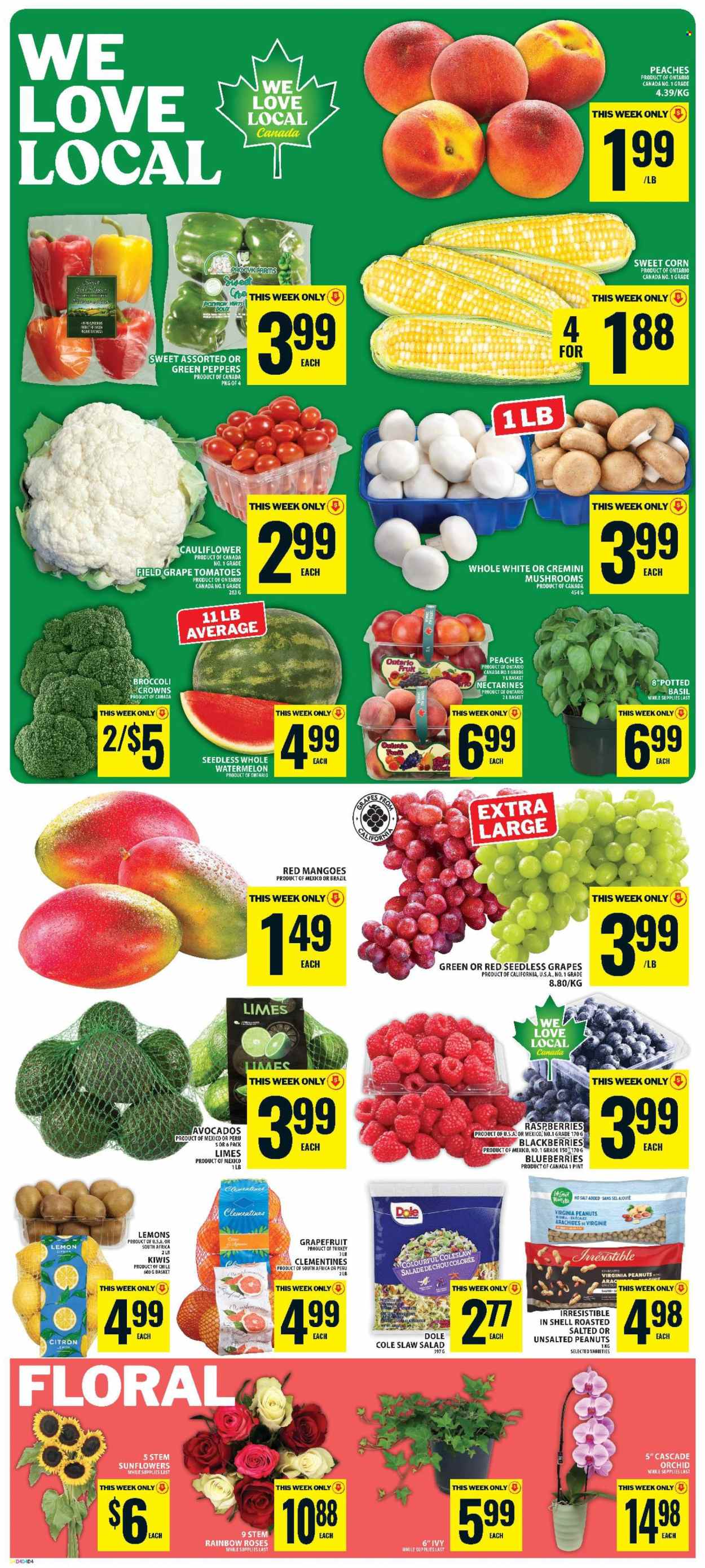 Circulaire Food Basics - 13 Août 2026 - 19 Août 2026. Page 3