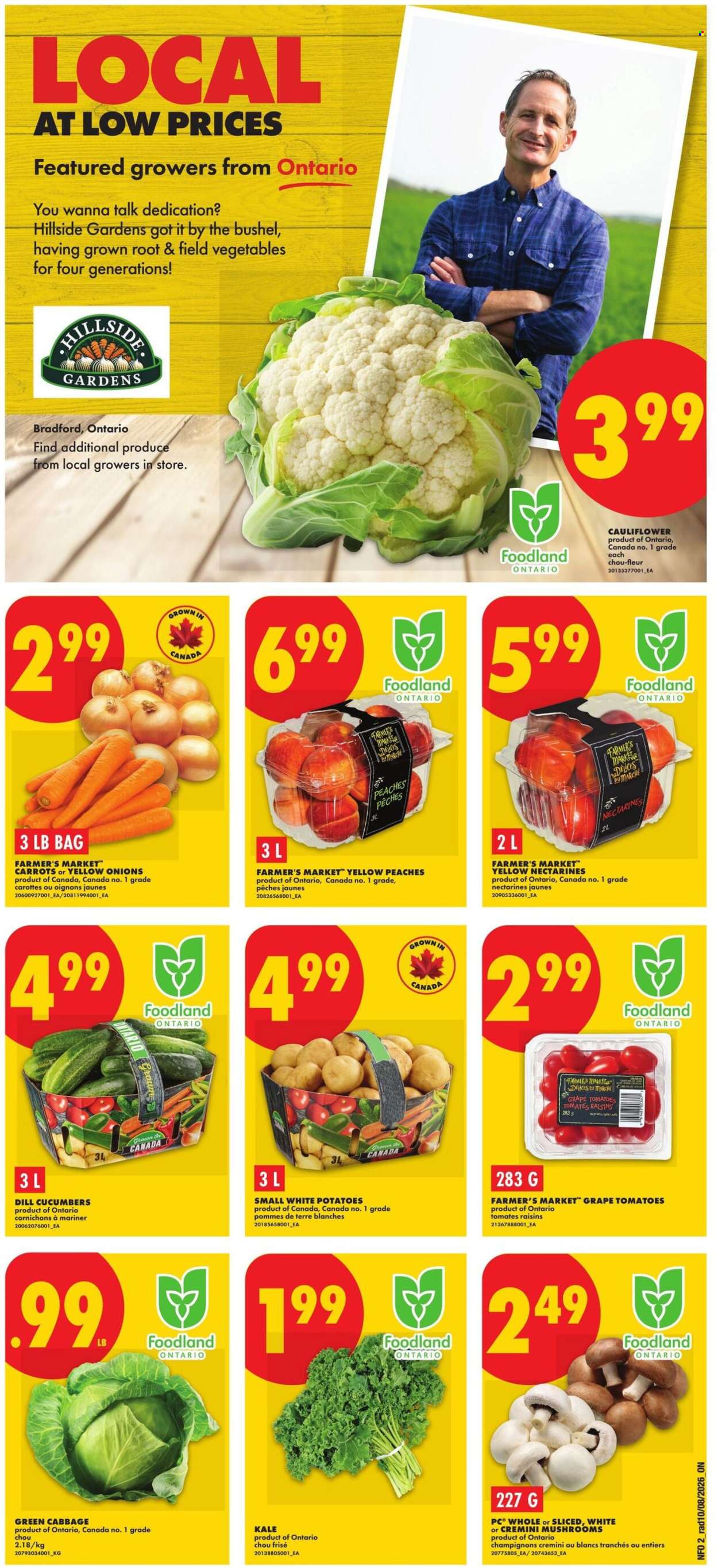 Circulaire No Frills - 13 Août 2026 - 19 Août 2026. Page 2