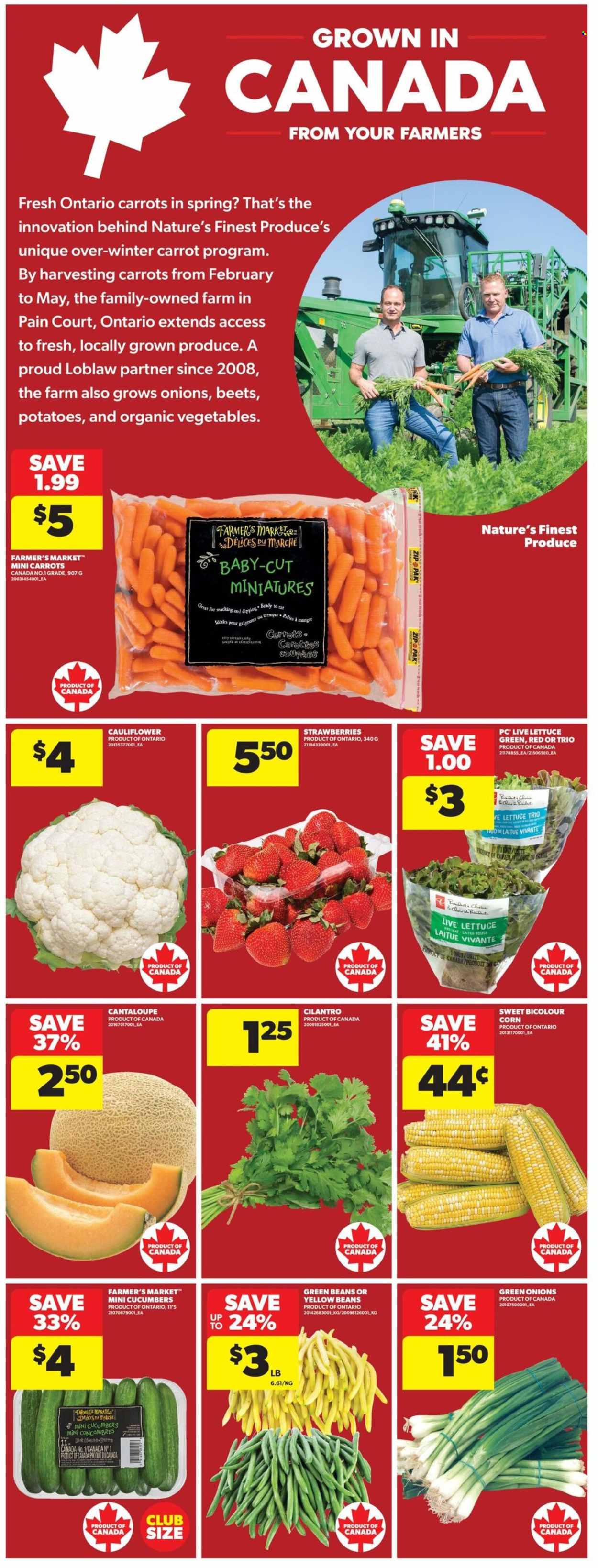 Circulaire Real Canadian Superstore - 13 Août 2026 - 19 Août 2026. Page 9