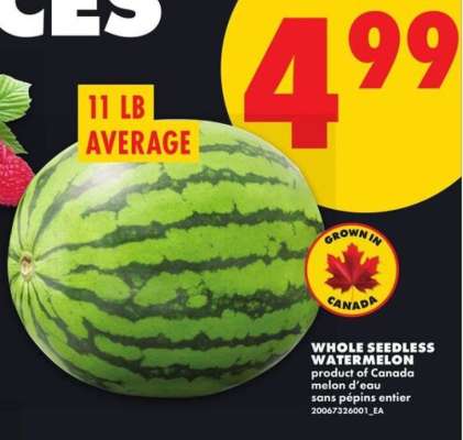 WHOLE SEEDLESS WATERMELON