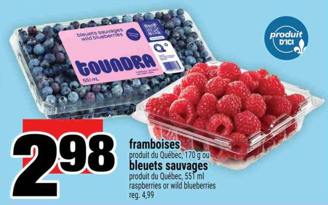framboises ou bleuets sauvages