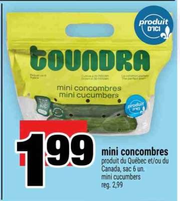 mini concombres