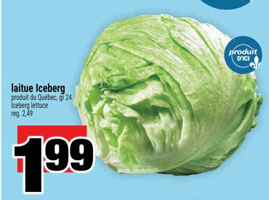 laitue Iceberg
