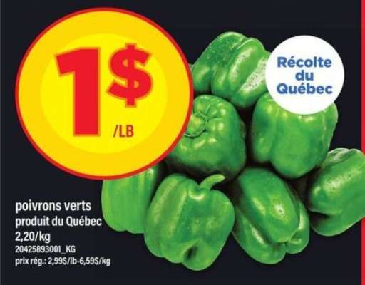 POIVRONS VERTS