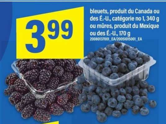 BLEUETS OU MÛRES