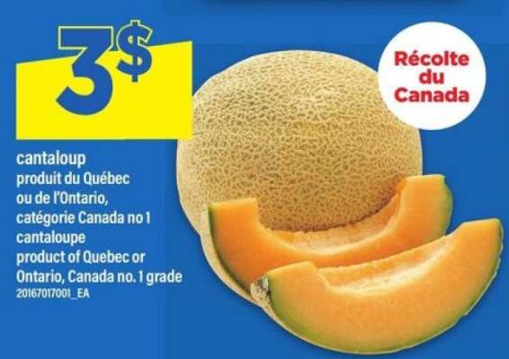 CANTALOUP