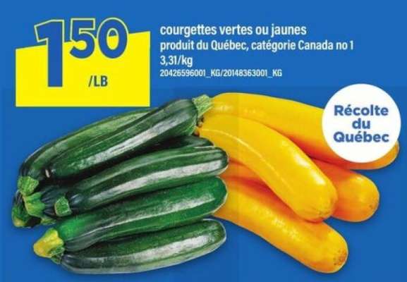COURGETTES VERTES OU JAUNES