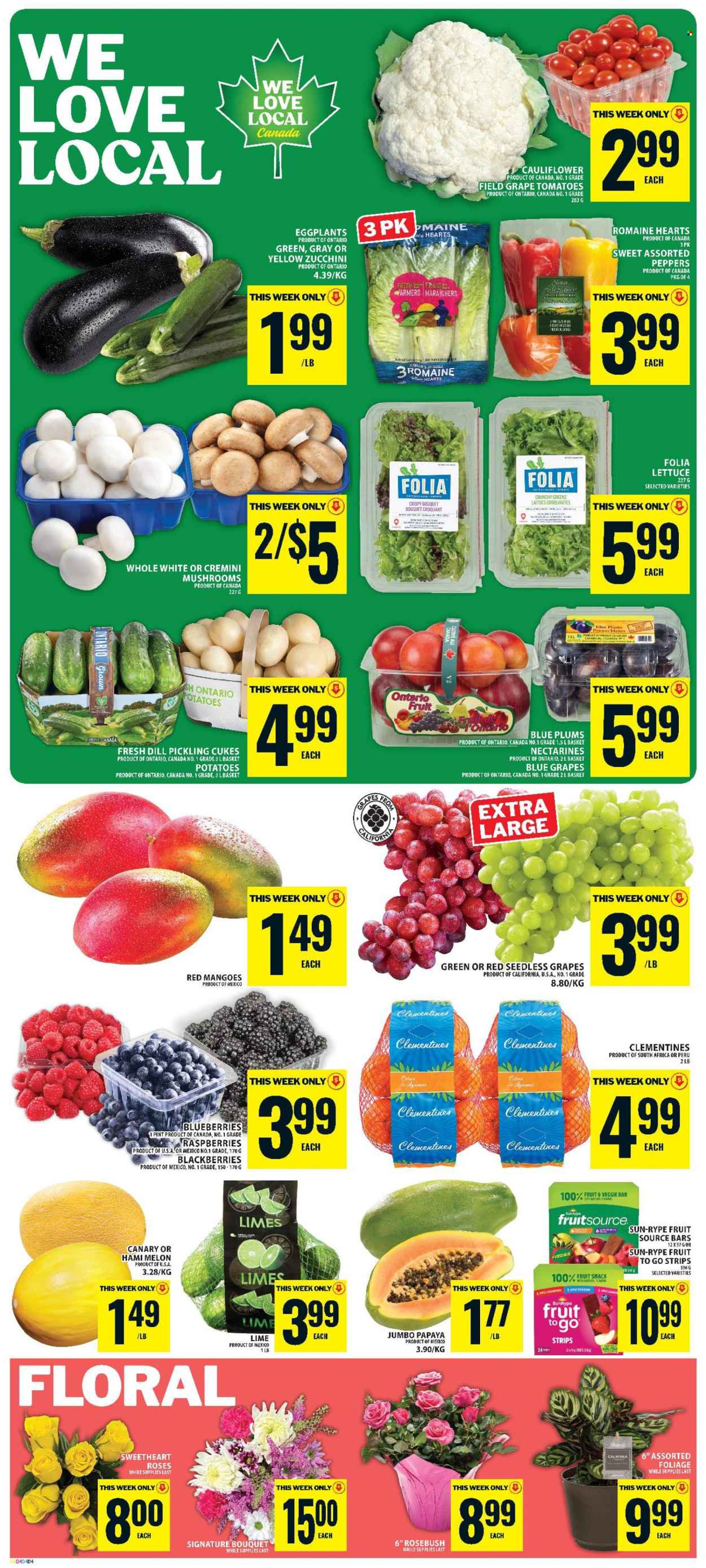 Circulaire Food Basics - 20 Août 2026 - 26 Août 2026. Page 3