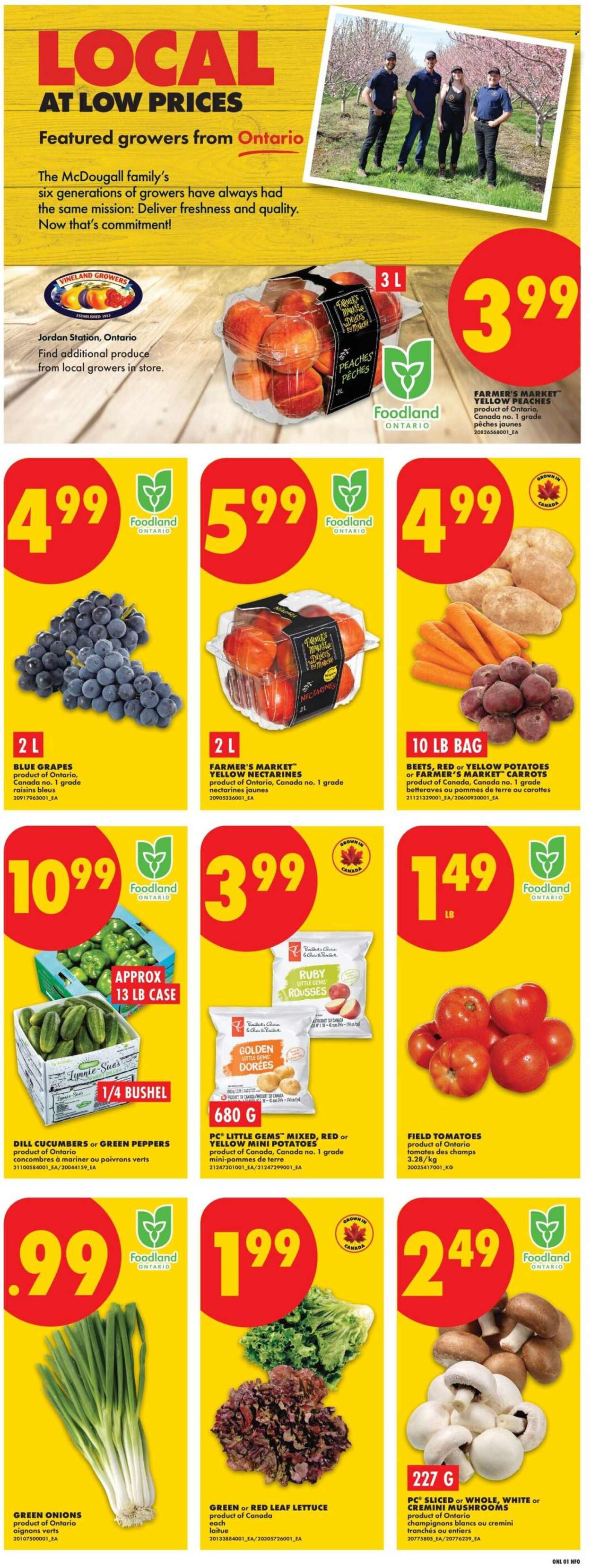 Circulaire No Frills - 20 Août 2026 - 26 Août 2026. Page 3