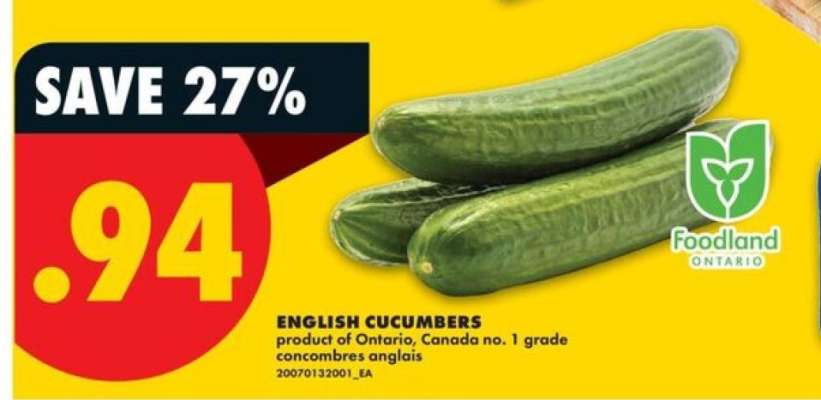 ENGLISH CUCUMBERS