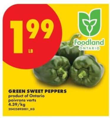 Green Sweet Peppers