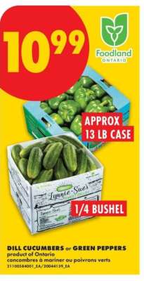 Dill Cucumbers or Green Peppers