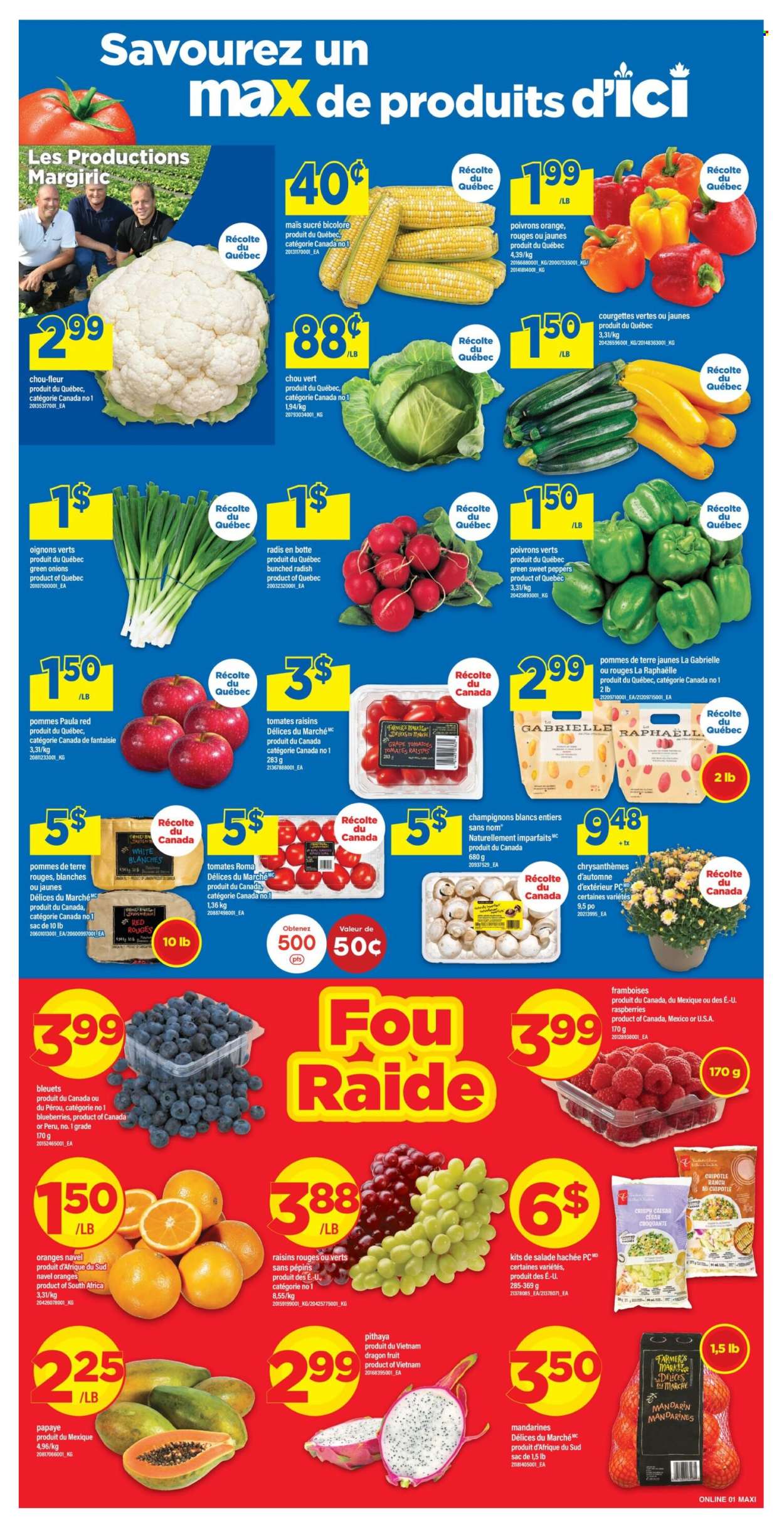 Circulaire Maxi - 27 Août 2026 - 02 Septembre 2026. Page 4