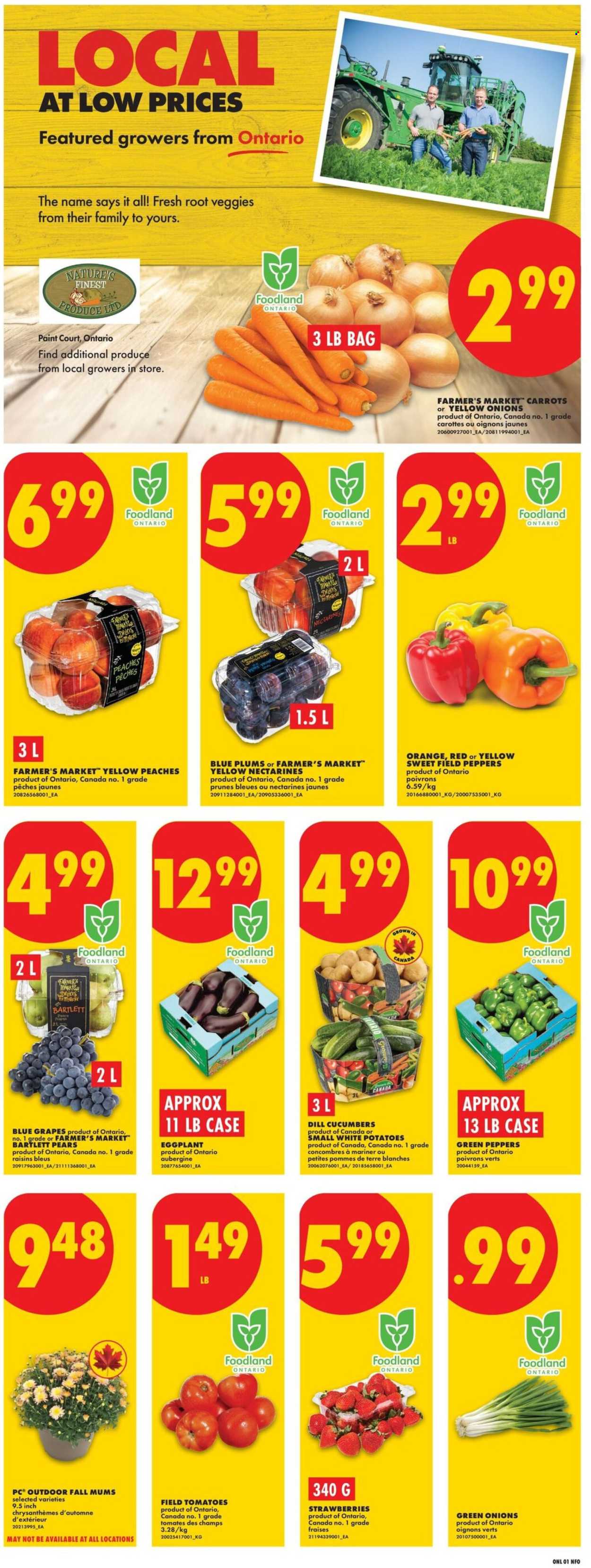 Circulaire No Frills - 27 Août 2026 - 02 Septembre 2026. Page 3