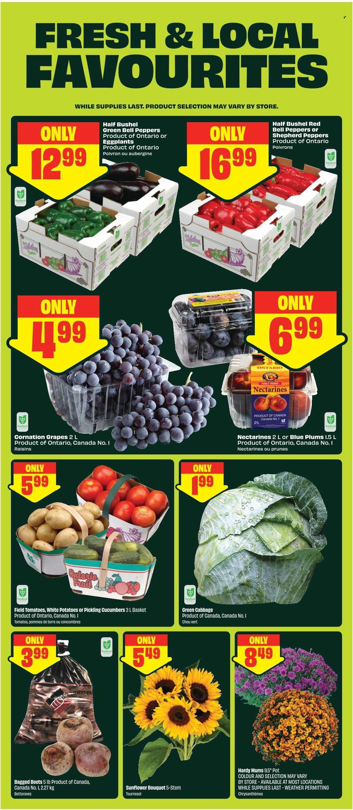 Circulaire Chalo! FreshCo. - 27 Août 2026 - 02 Septembre 2026. Page 5