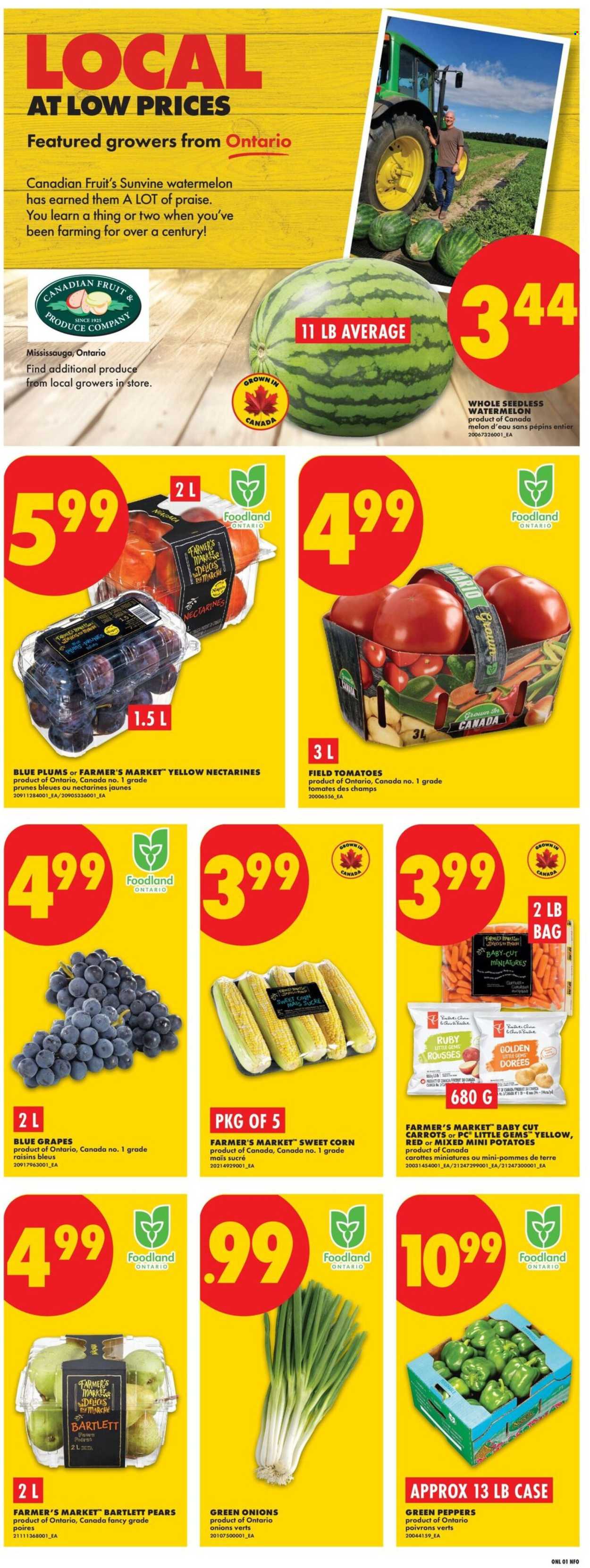 Circulaire No Frills - 03 Septembre 2026 - 09 Septembre 2026. Page 3