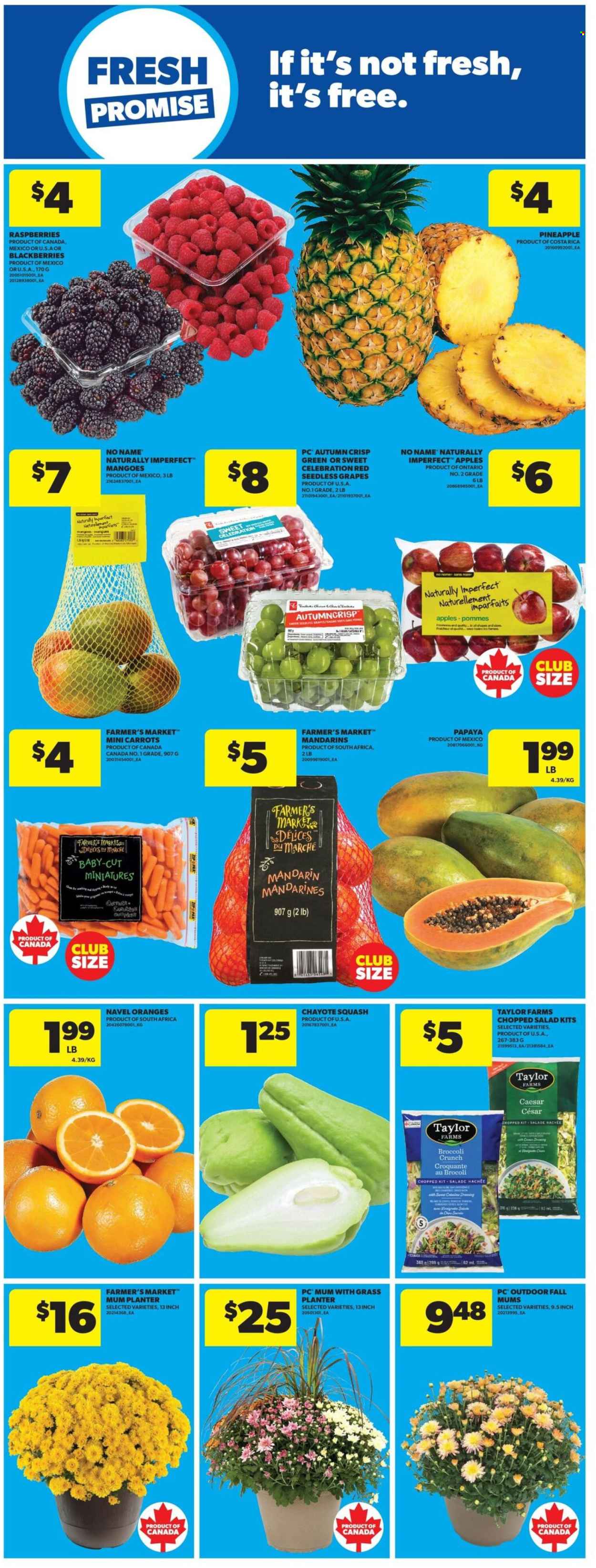 Circulaire Real Canadian Superstore - 03 Septembre 2026 - 09 Septembre 2026. Page 14