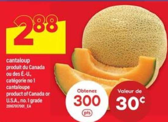CANTALOUP