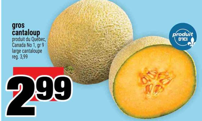 Gros Cantaloup