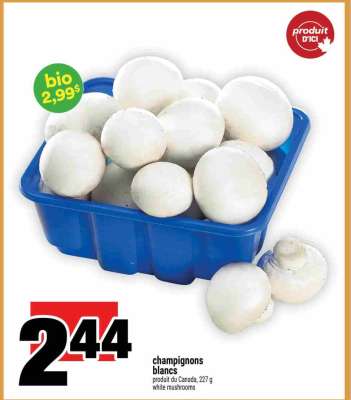CHAMPIGNONS BLANCS