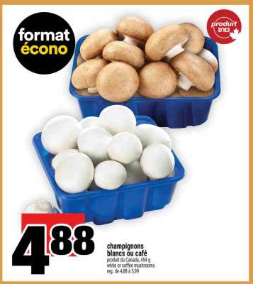 Champignons blancs ou café