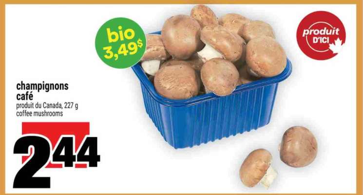 champignons café