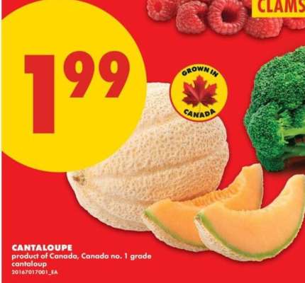 CANTALOUPE