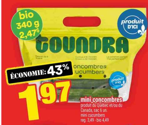 mini concombres