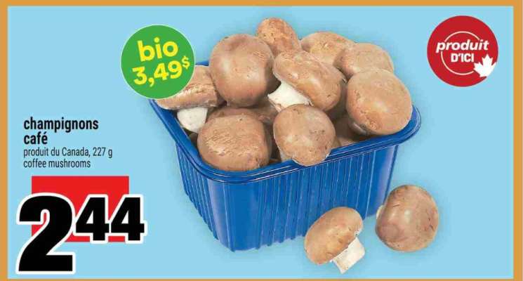 champignons café