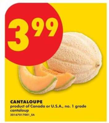 CANTALOUPE
