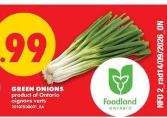 Green Onions