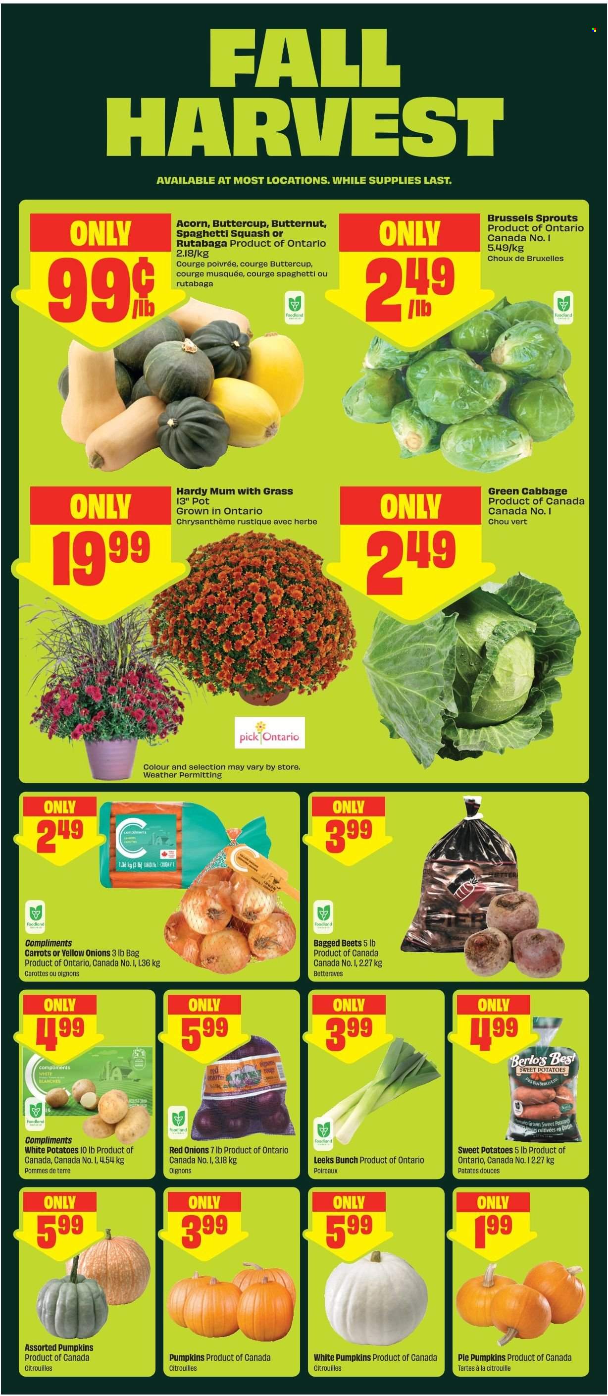 Circulaire Chalo! FreshCo. - 17 Septembre 2026 - 23 Septembre 2026. Page 5