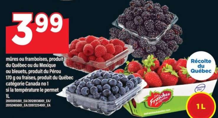 Mûres ou framboises