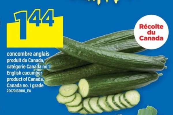 Concombre anglais