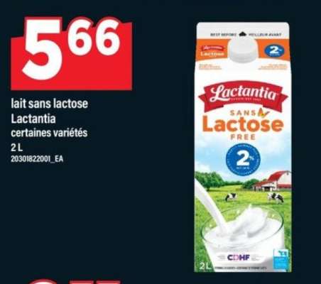 lait sans lactose Lactantia