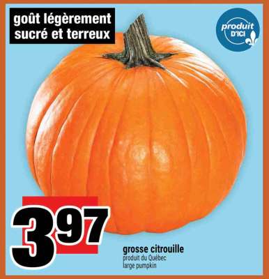 grosse citrouille