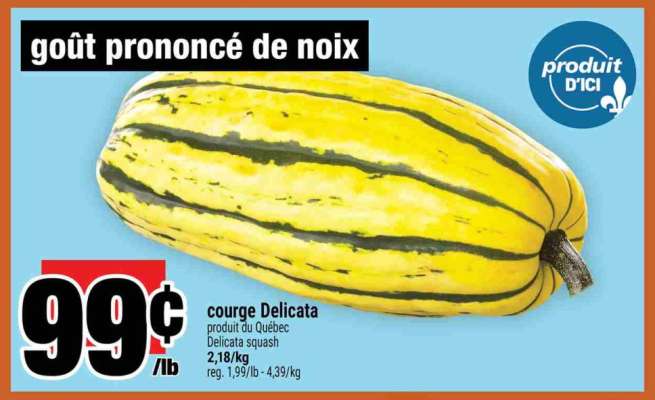 courge delicata