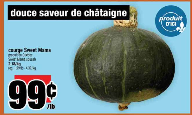 courge Sweet Mama