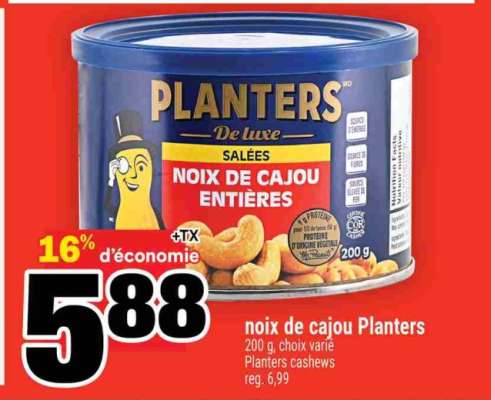 noix de cajou Planters