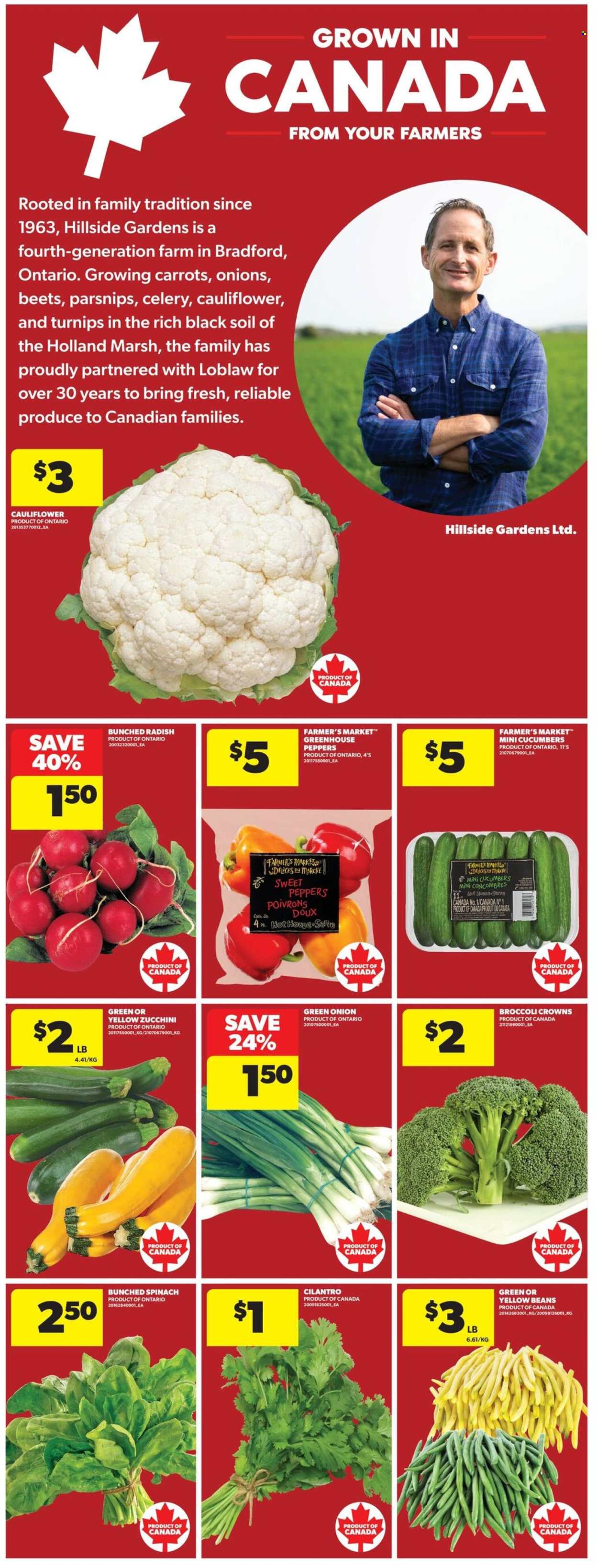 Circulaire Real Canadian Superstore - 24 Septembre 2026 - 30 Septembre 2026. Page 9
